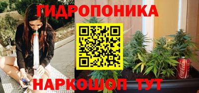 ГАЛЛЮЦИНОГЕННЫЕ ГРИБЫ Свободный