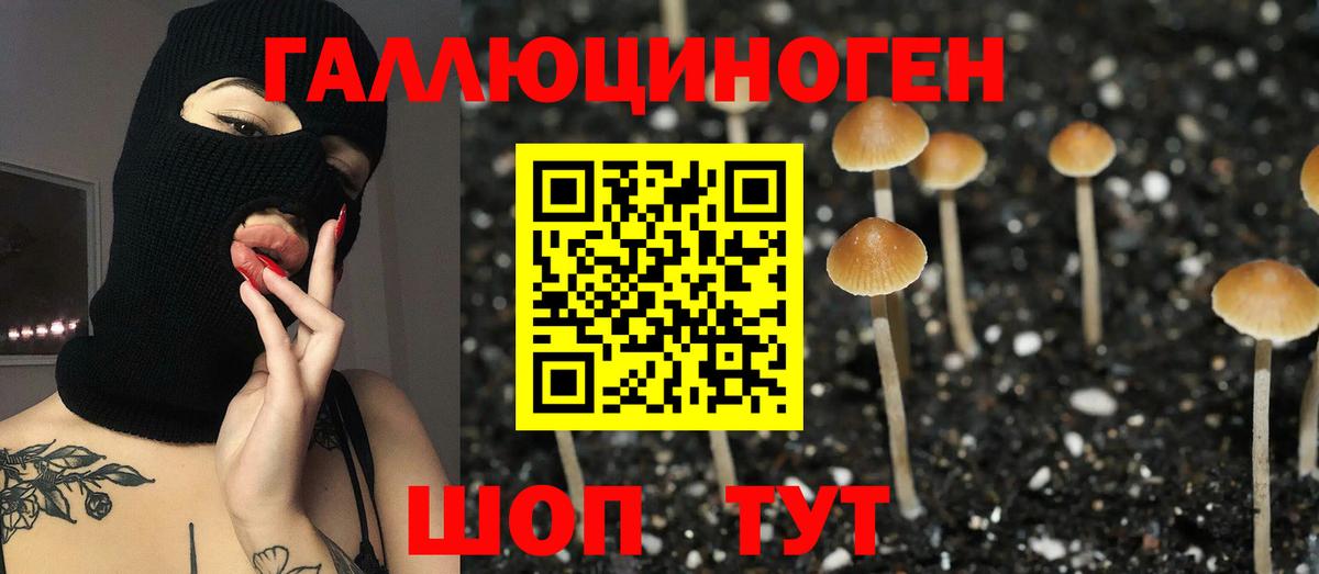 купить наркотик  Вход с VPN  Ржев  Галлюциногенные грибы Cubensis 